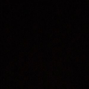 Meet your Posher, Willie